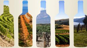 Il significato di terroir