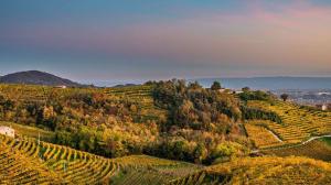 Strada del Prosecco