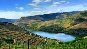 Alla scoperta del vino in Portogallo