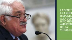 Attilio Scienza personaggio dell'anno Assoenologi