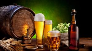 Leggi e normativa per produrre la birra in Italia