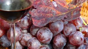 Calici di Stelle 2018 in Trentino Alto Adige Calici di Stelle 2018 in Trentino Alto Adige