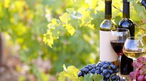 Cantine Aperte 2019 in Umbria