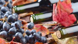 Cantine Aperte in Vendemmia 2019 sardegna Cantine Aperte in Vendemmia 2019 sardegna