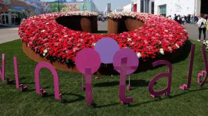 chiude vinitaly 2019 chiude vinitaly 2019