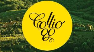 Collio Day 2023
