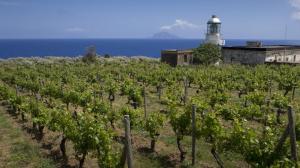 conosci la Malvasia delle Lipari?