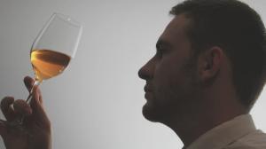 I miei consigli ai giovani enologi