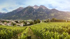 Cantine Aperte 2018 in Valle d'Aosta