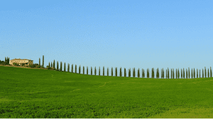 I vini lungo la Via Francigena I vini lungo la Via Francigena