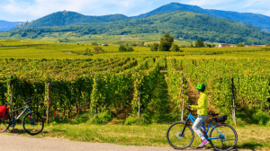 Franciacorta in bicicletta