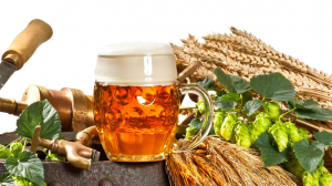 Birra fatta in casa Birra fatta in casa