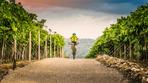 Franciacorta in bicicletta: il percorso giallo