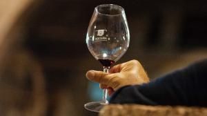 Hostaria Verona Hostaria Verona