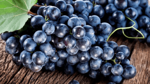 La Tintilia del Molise