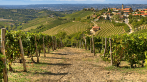 Vini lungo la Via Salaria e la Via Traiana