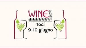 Wine Show Todi 