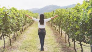 Vino e pandemia: le Donne del vino fanno il punto della situazione nel mondo