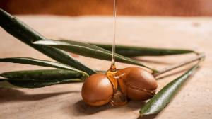 Diversi tipi di olio e i loro usi