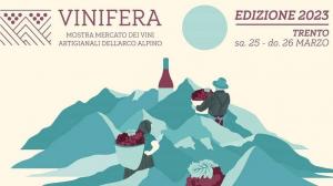 Vinifera 2023