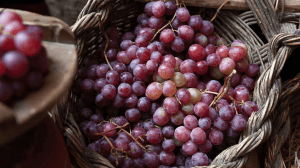 Augurio vini nel mondo