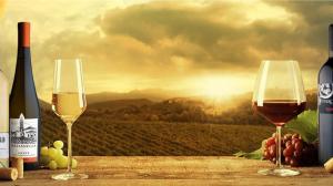 da nino bixio ai giorni nostri