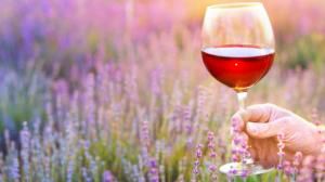 enoturismo in provenza