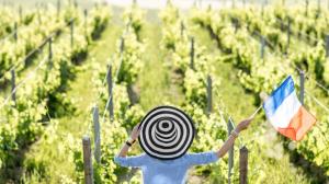 Francia 1 paese europeo per il consumo del vino Francia 1 paese europeo per il consumo del vino