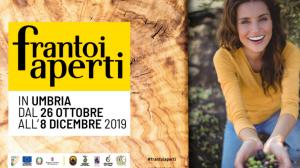 frantoi aperti 2019 frantoi aperti 2019