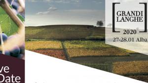 Grandi Langhe 2020
