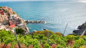 Il vino in Liguria