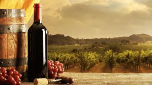 Il vino sostenibile Il vino sostenibile