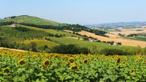Paesaggio di Jesi nelle Marche Italia