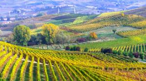 La biodiversità della vita come patrimonio culturale La biodiversità della vita come patrimonio culturale