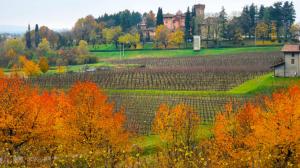 la gloriosa scuola di enologia del Friuli
