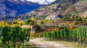 La strada dei vini della Valle D&#039;aosta