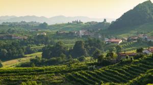 le colline del prosecco ora patrimonio unesco