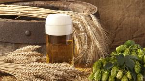 Il malto, il luppolo, l'acqua, il lievito Quali sono gli ingredienti della birra