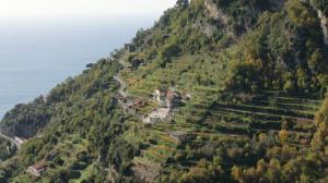 Marisa Cuomo, storia di passione per la terra e il vino