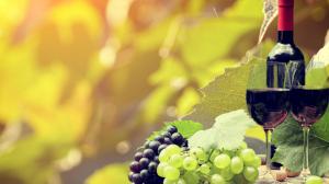 master comunicare vino master comunicare vino