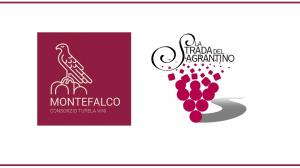 Banchi d'assaggio, degustazioni guidate ed appuntamenti unici in cantina: in Umbria con "Abbinamenti Montefalco" protagonisti vino, gastronomia, arte e musica Banchi d'assaggio, degustazioni guidate ed appuntamenti unici in cantina: in Umbria con "Abbinamenti Montefalco" protagonisti vino, gastronomia, arte e musica