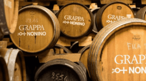 Nonino premiata "Miglior distilleria del mondo 2019"