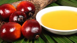 l'olio di palma fa male?