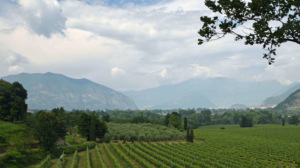 Alla scoperta della Franciacorta: il percorso verde Alla scoperta della Franciacorta: il percorso verde