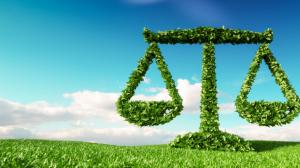 provvedimenti agricoli legge bilancio 2019