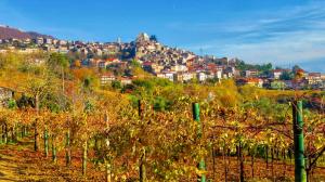 sannio falanghina capitale europea del vino