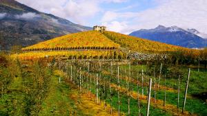 storia del Peptit Rouge, una rarità enologica in Valle d'Aosta