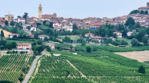 Strada dei vini dei colli piacentini