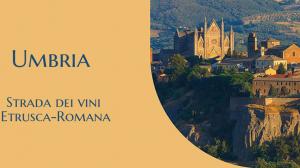Strada dei vini Etrusca-Romana
