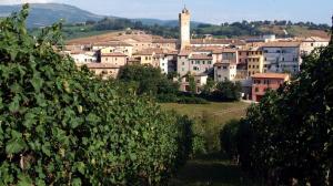 strada del verdicchio dei castelli di Jesi strada del verdicchio dei castelli di Jesi